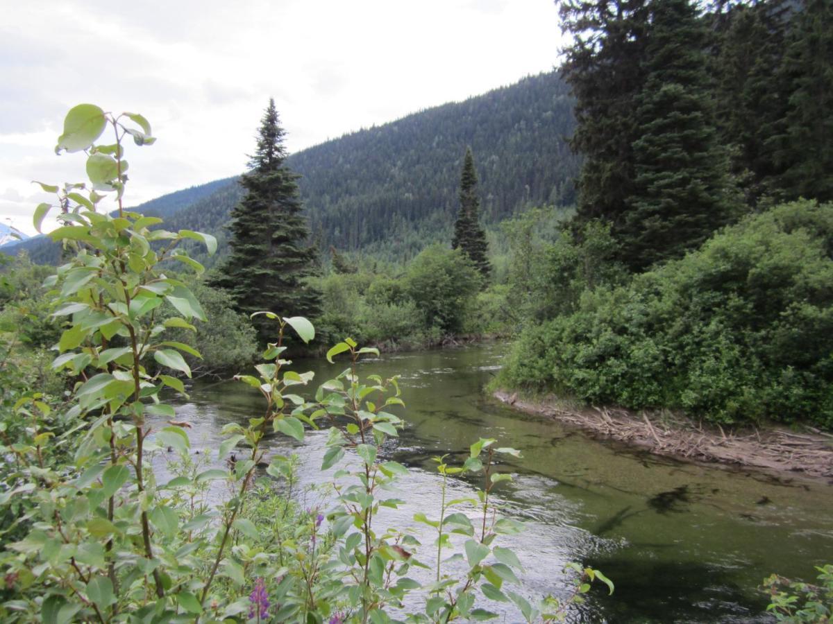 Summit River Lodge & Campsites Valemount Exterior foto